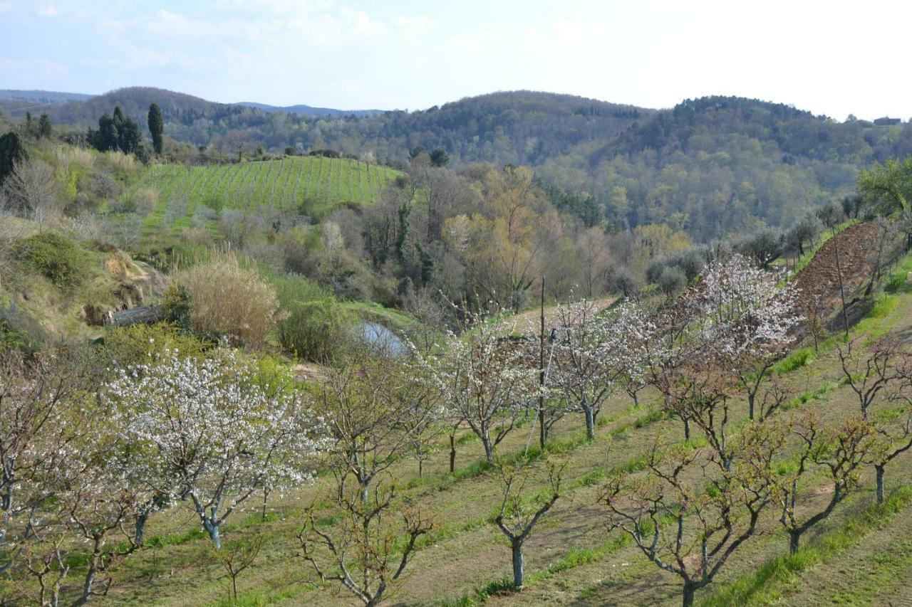 Appartamento La Casina Sonia Montaione Esterno foto